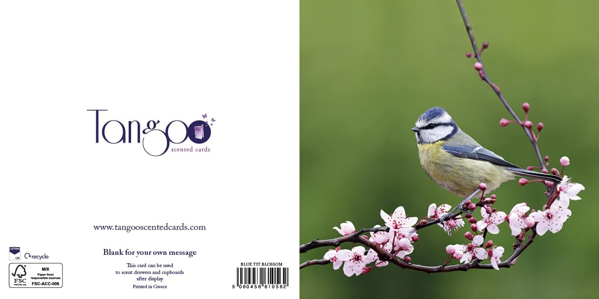 Blue Tit - Scented Greeting Card