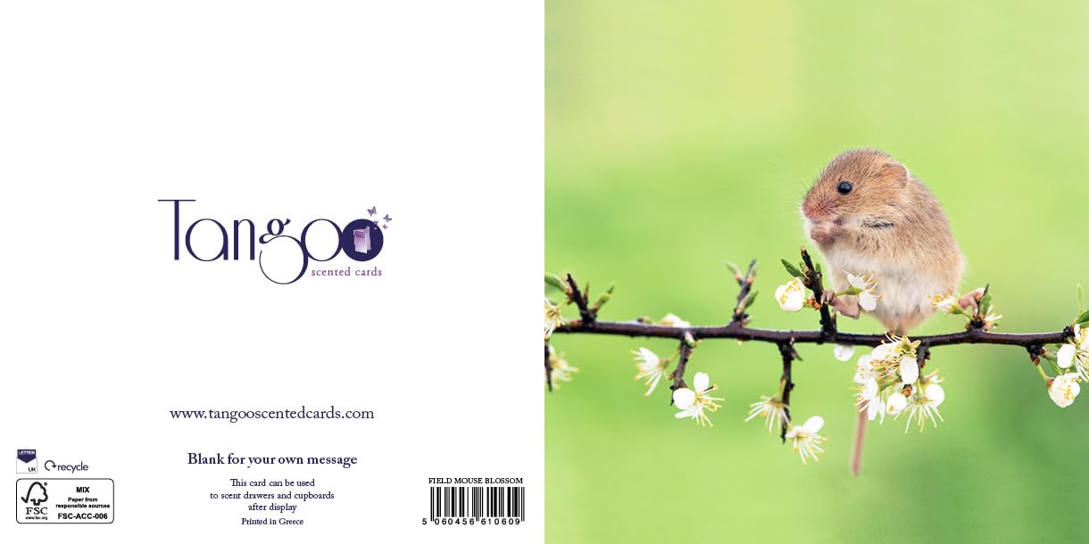 Field Mouse Blossom - Scented Greeting Card