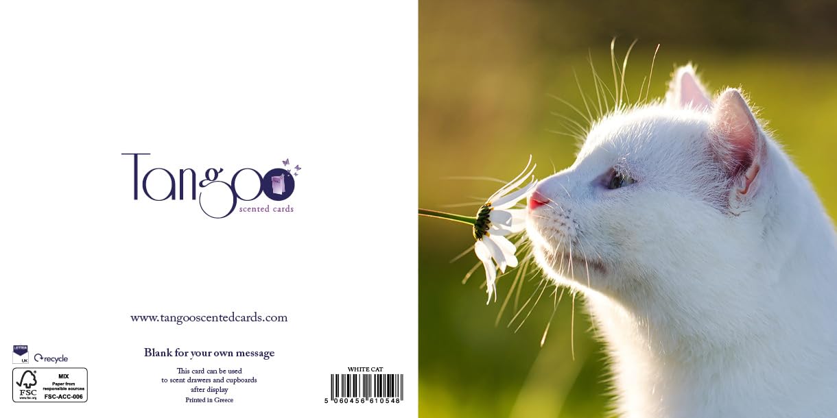 White Cat - Scented Greeting Card
