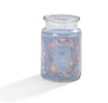 Iced Cranberry - Scented Candle Jar 22oz