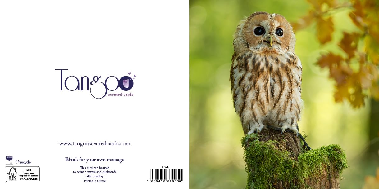 Owl - Scented Greeting Card