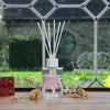 Apple Blossom - Fragrance Oil Reed Diffuser 200ml