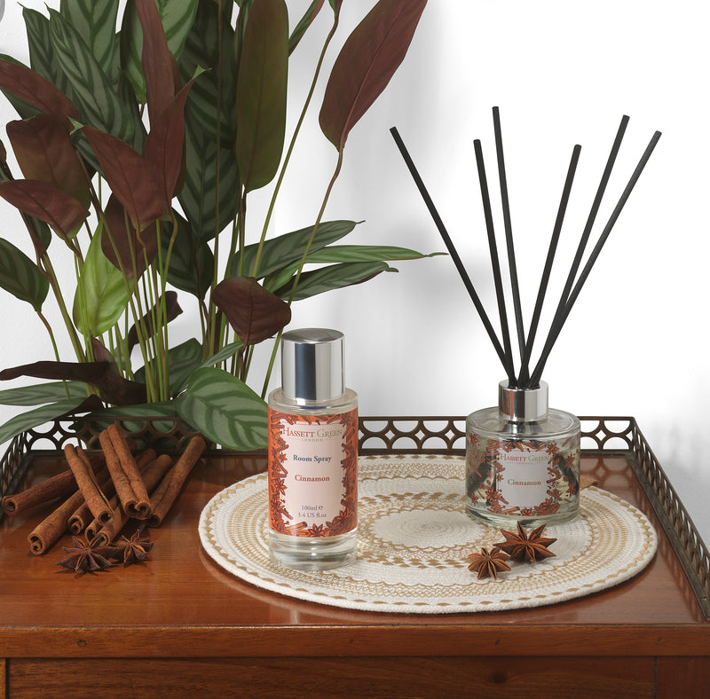 Cinnamon - Reed Diffuser Duo Set - 2 x 125ml