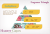 Enlighten - Fragrance Oil Reed Diffuser 100ml