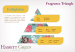 Enlighten - Fragrance Oil Reed Diffuser 100ml
