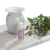 Exotica - Home Fragrance Oil 30ml