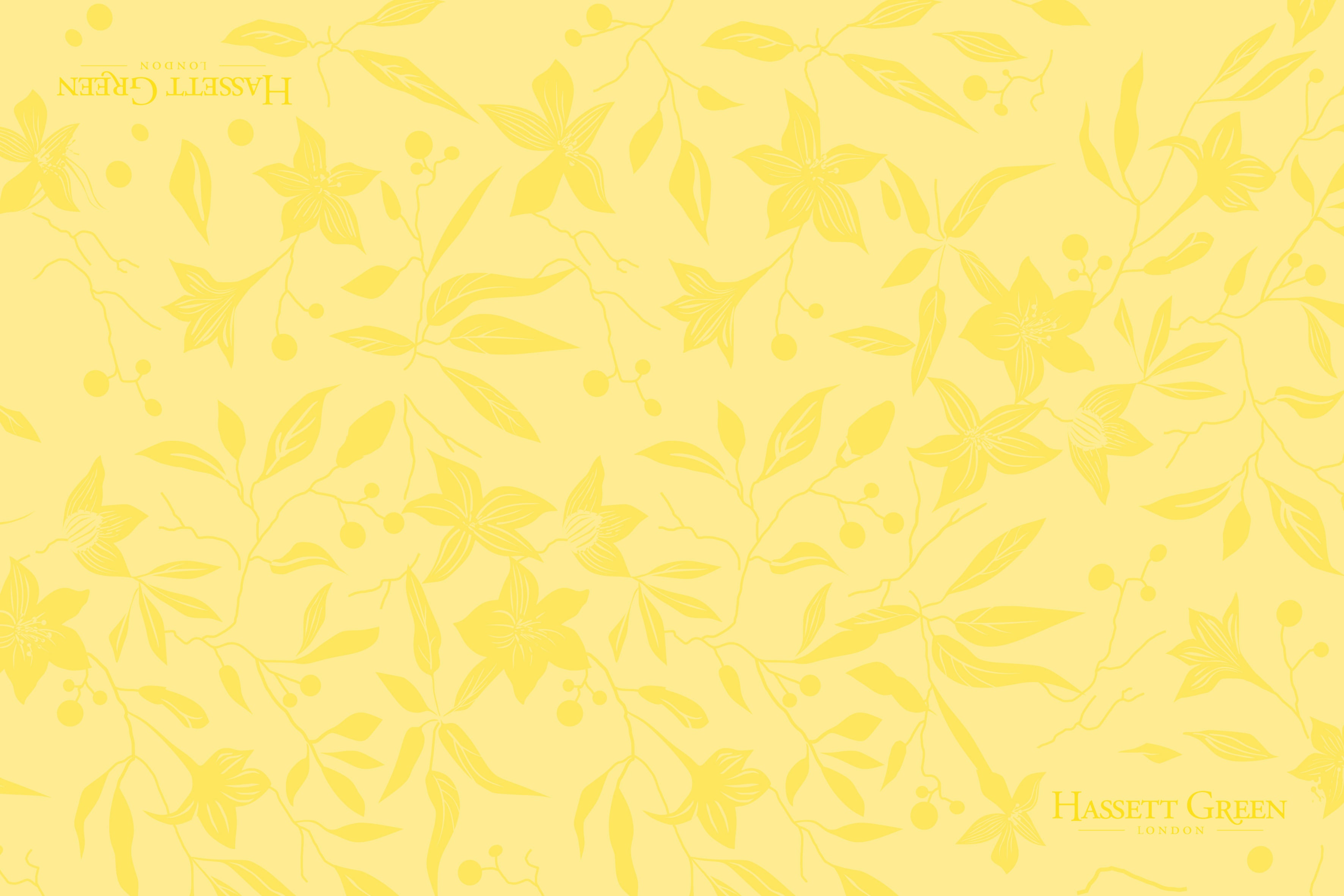 Honeysuckle & Jasmine - Scented Drawer Liners Twin Pack