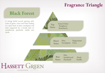 Black Forest - Fragrance Oil Diffuser 250ml