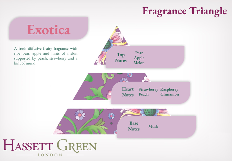 Exotica - Scented Wooden Balls Pack of 12