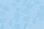 Endless Ocean - Scented Drawer Liners