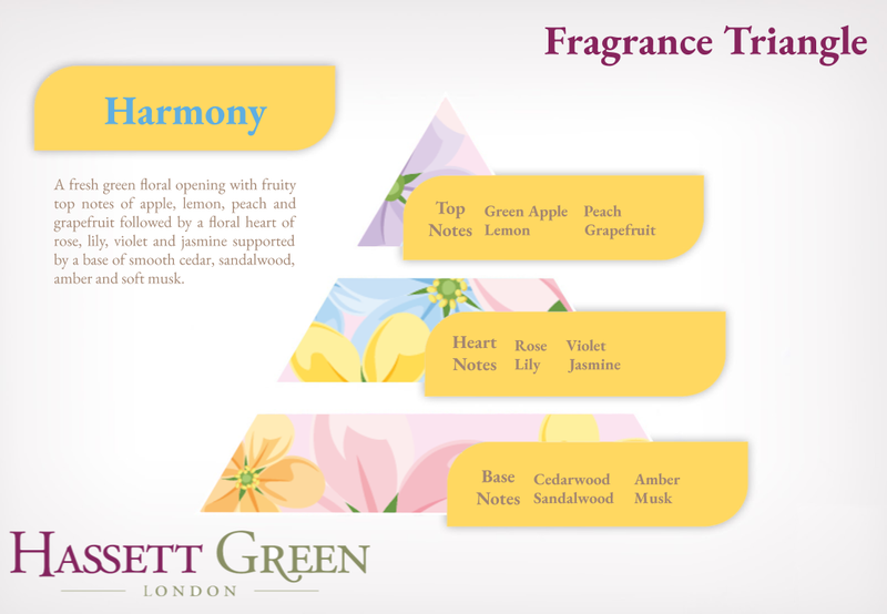 Harmony - Fragrance Oil Reed Diffuser 100ml