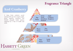 Iced Cranberry - Fragrance Oil Diffuser 250ml