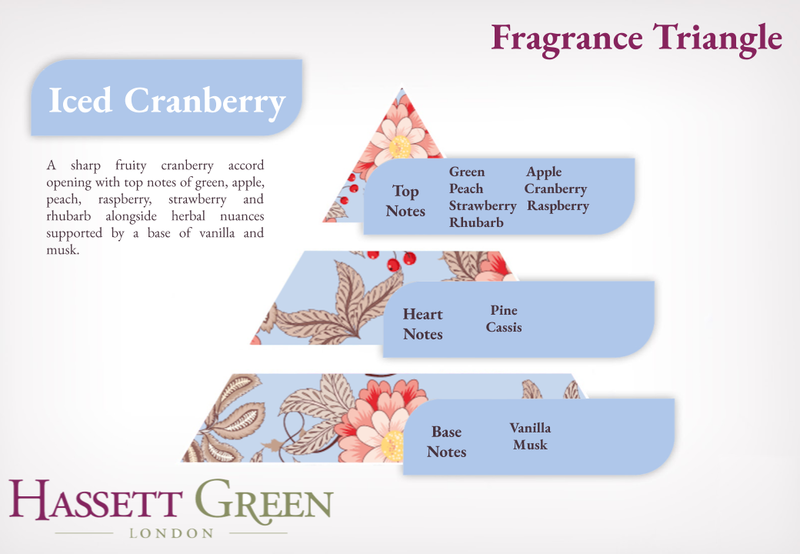 Iced Cranberry - Fragrance Oil Reed Diffuser 100ml