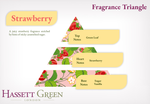 Strawberry - Fragrance Oil Reed Diffuser 100ml