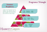 Summer Raspberry - Refreshing Hand Gel 75ml