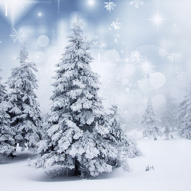 Festive - White Forest